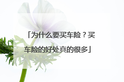 为什么要买车险？买车险的好处真的很多