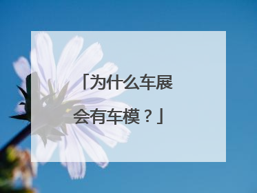 为什么车展会有车模？