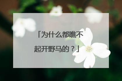 为什么都瞧不起开野马的？