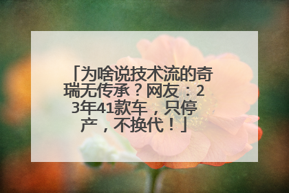 为啥说技术流的奇瑞无传承？网友：23年41款车，只停产，不换代！