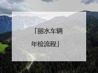 丽水车辆年检流程