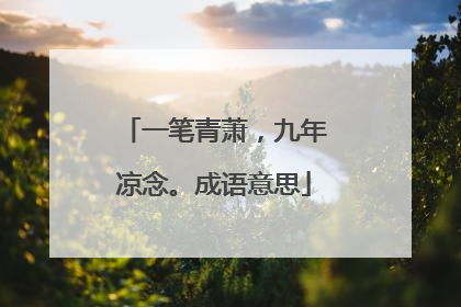 一笔青萧，九年凉念。成语意思