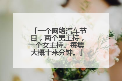 一个网络汽车节目，两个男主持，一个女主持。每集大概十来分钟。