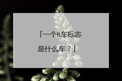 一个R车标志是什么车？
