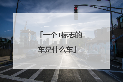 一个T标志的车是什么车