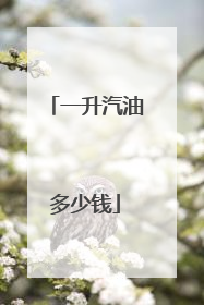 一升汽油多少钱