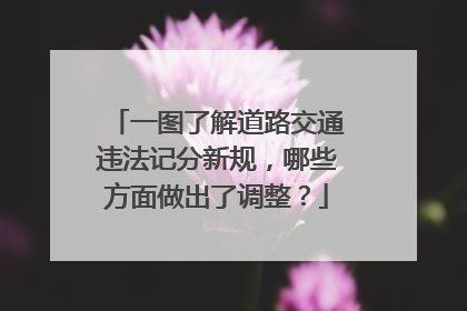一图了解道路交通违法记分新规，哪些方面做出了调整？