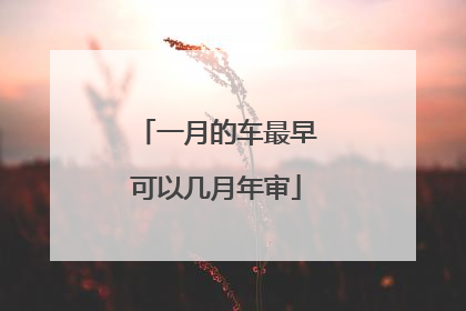 一月的车最早可以几月年审