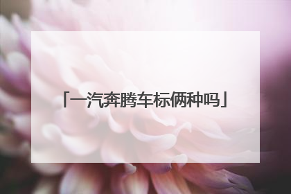 一汽奔腾车标俩种吗