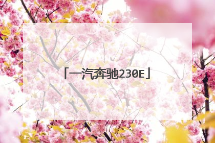 一汽奔驰230E
