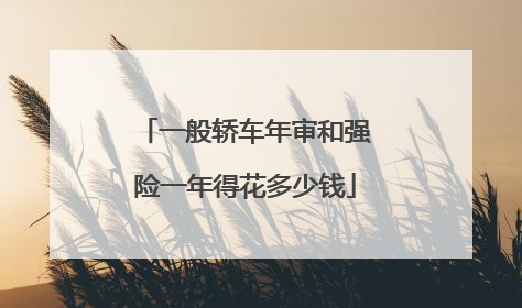 一般轿车年审和强险一年得花多少钱