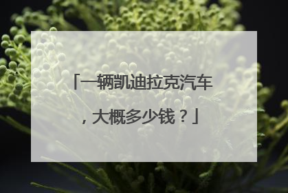 一辆凯迪拉克汽车，大概多少钱？