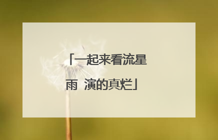 一起来看流星雨 演的真烂