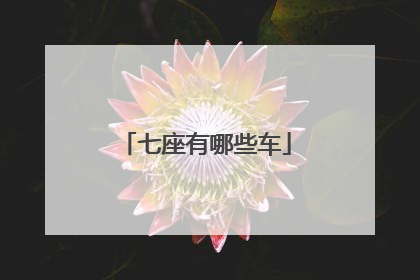 七座有哪些车