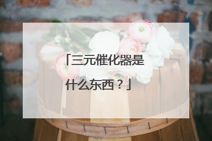 三元催化器是什么东西？