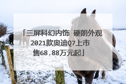 三屏科幻内饰 硬朗外观 2021款奥迪Q7上市售68.88万元起