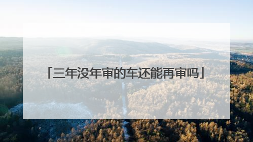 三年没年审的车还能再审吗