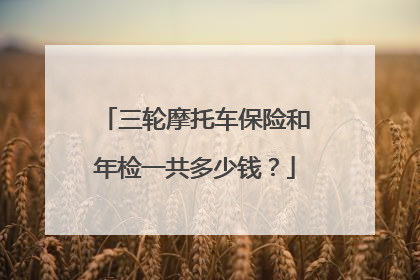 三轮摩托车保险和年检一共多少钱？