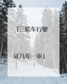 三轮车行驶证几年一审