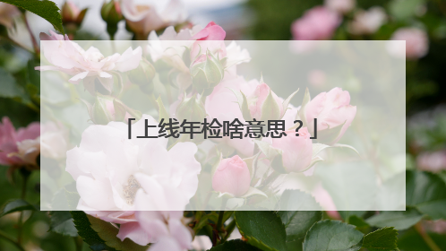上线年检啥意思？