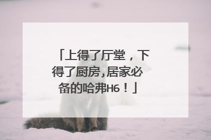 上得了厅堂，下得了厨房,居家必备的哈弗H6！