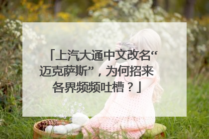 上汽大通中文改名“迈克萨斯”，为何招来各界频频吐槽？