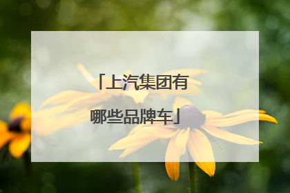 上汽集团有哪些品牌车