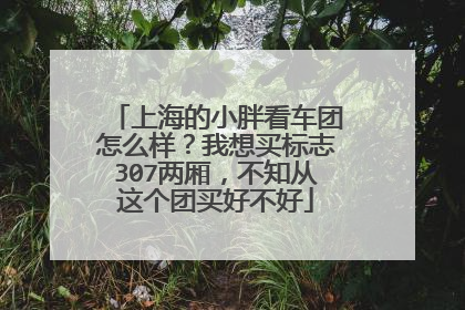 上海的小胖看车团怎么样？我想买标志307两厢，不知从这个团买好不好