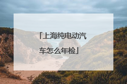 上海纯电动汽车怎么年检