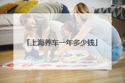 上海养车一年多少钱