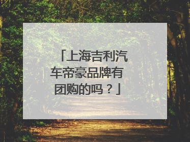 上海吉利汽车帝豪品牌有团购的吗？