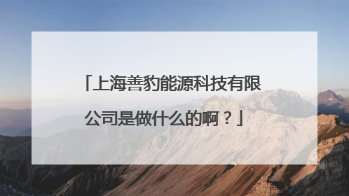 上海善豹能源科技有限公司是做什么的啊？