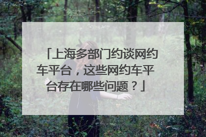 上海多部门约谈网约车平台，这些网约车平台存在哪些问题？