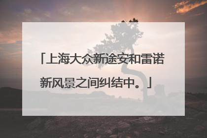 上海大众新途安和雷诺新风景之间纠结中。