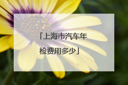 上海市汽车年检费用多少