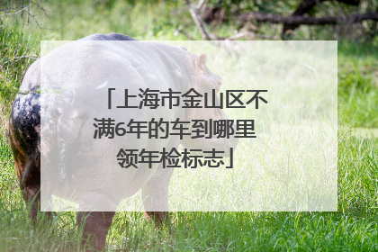 上海市金山区不满6年的车到哪里领年检标志