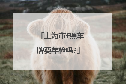 上海市f照车牌要年检吗?