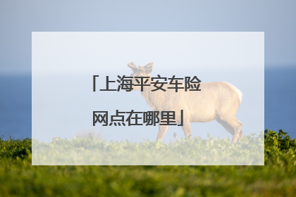 上海平安车险网点在哪里