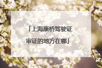 上海康桥驾驶证审证的地方在哪