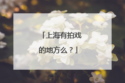 上海有拍戏的地方么？