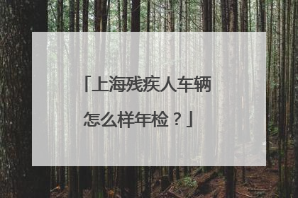 上海残疾人车辆怎么样年检？