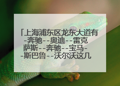 上海浦东区龙东大道有-奔驰--奥迪--雷克萨斯--奔驰--宝马--斯巴鲁--沃尔沃这几家的4S店吗