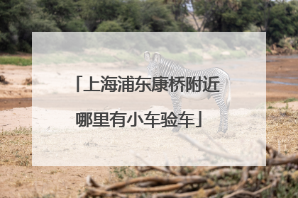 上海浦东康桥附近哪里有小车验车