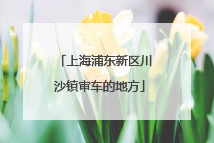 上海浦东新区川沙镇审车的地方