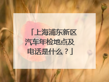 上海浦东新区汽车年检地点及电话是什么？