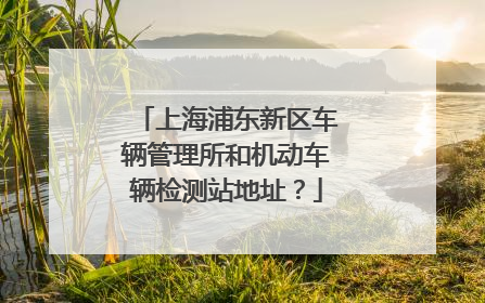 上海浦东新区车辆管理所和机动车辆检测站地址？