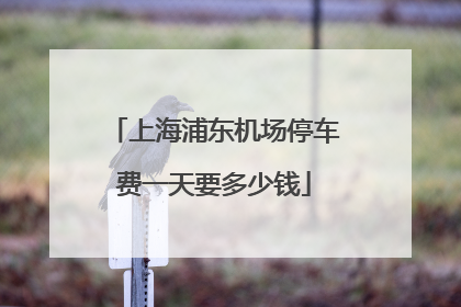 上海浦东机场停车费一天要多少钱