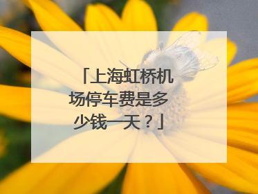 上海虹桥机场停车费是多少钱一天？