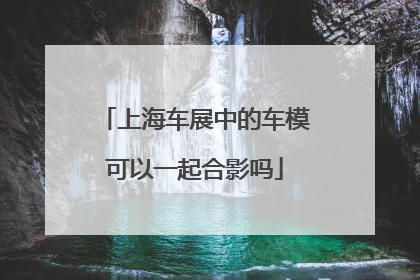 上海车展中的车模可以一起合影吗