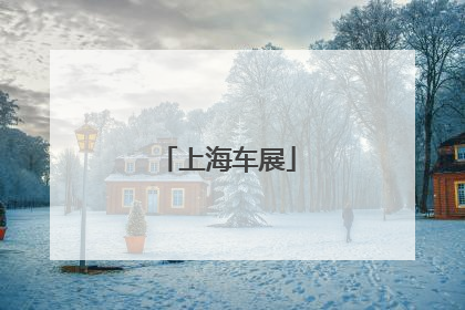 上海车展